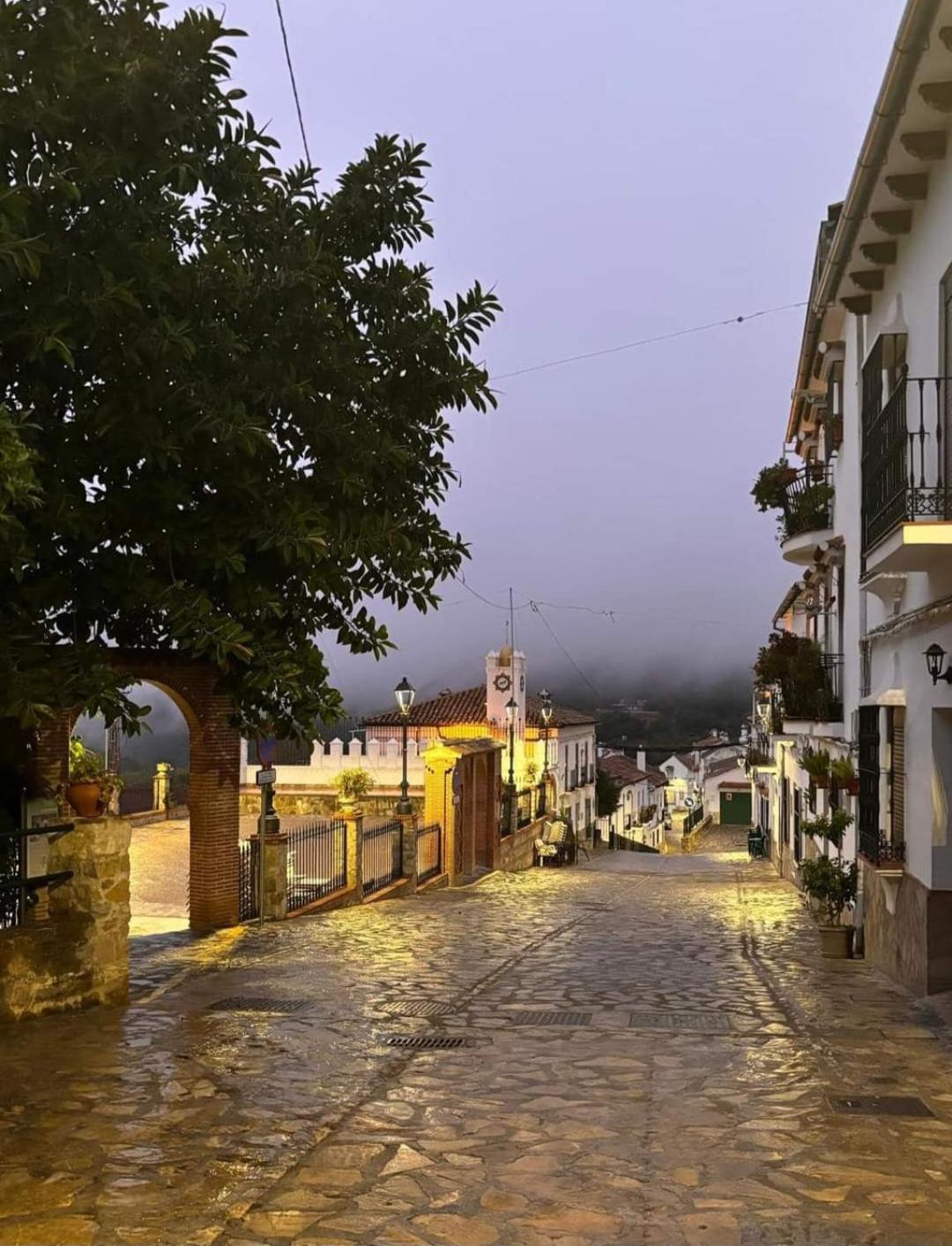 شقة El Pinsapo بيناماهوما المظهر الخارجي الصورة